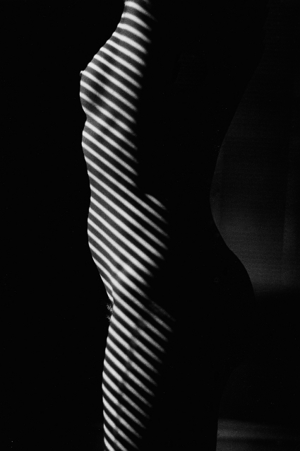 Ralph Gibson, Slatted Shadow Nude Ralph Gibson, Slatted Shadow Nude