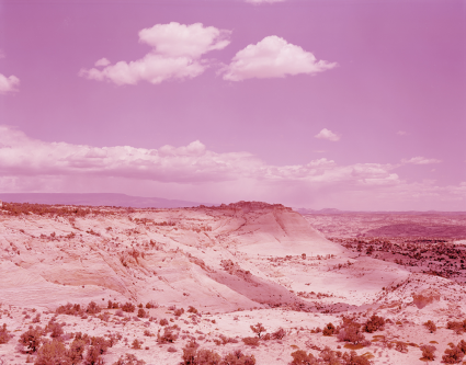 David Benjamin Sherry, Pink Desert David Benjamin Sherry, Pink Desert