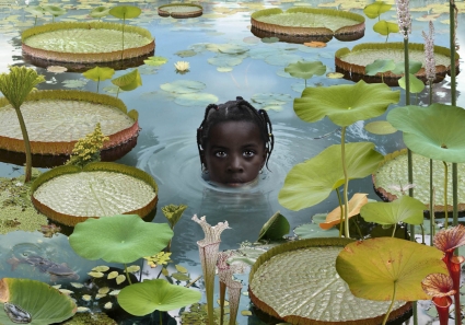 Ruud van Empel, Girl with Lillipads Ruud van Empel, Girl with Lillipads